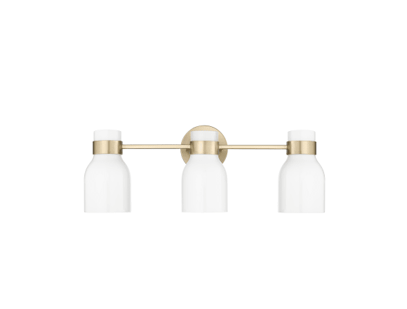 Millennium Lighting Corella 3 Light 23" Wide Vanity Light