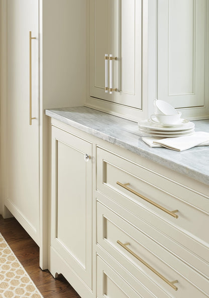 Amerock | Cabinet Knob | Clear/Champagne Bronze | Glacio