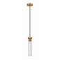 Z-Lite 740P-RB Beau Pendant, 1-Light 60 Watts, Rubbed Brass