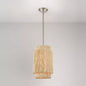 Signature Hardware - Caviana Pendant - Brushed Nickel - Single Light