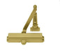 Norton 1601H696 Adjustable Hold Open Medium Duty Surface Mounted Door Closer