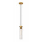 Z-Lite 740P-RB Beau Pendant, 1-Light 60 Watts, Rubbed Brass