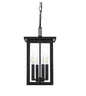 Elegant Lighting OD324H16 Sheridan 4 Light 9" Wide Outdoor Mini Pendant Black
