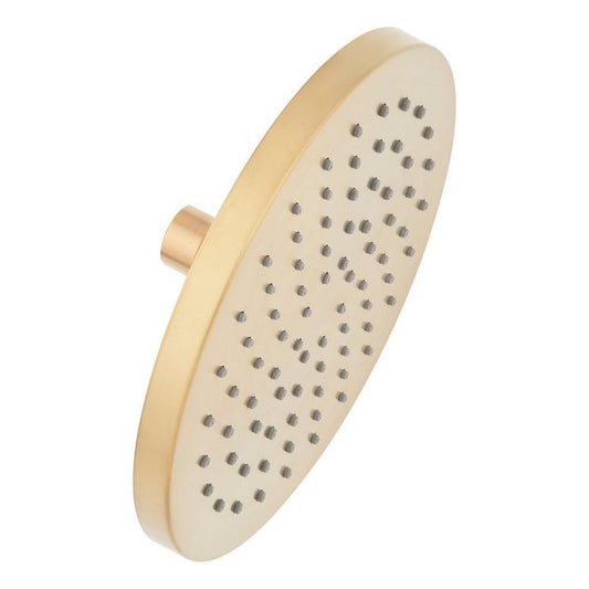 Signature Hardware SHRSB820RGBG Single Function Rain Shower Head, Brushed Gold