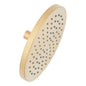 Signature Hardware SHRSB820RGBG Single Function Rain Shower Head, Brushed Gold
