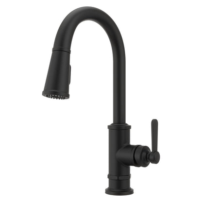 Pfister GT529-TDD Kitchen Faucets and Accessories, Polished Nickel