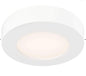 DALS Lighting FMP05-CC-WH - Prime Color-Select Ceiling Light - White