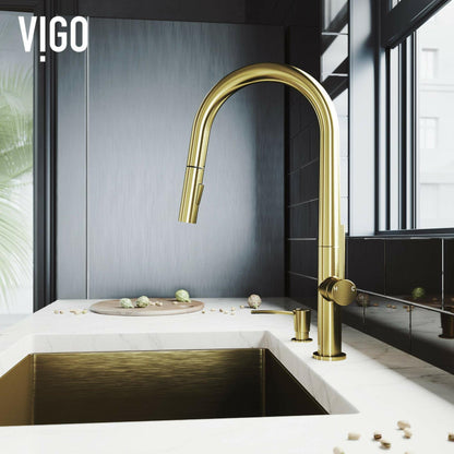 VIGO Greenwich 18'' H Single Handle Pull-Down Sprayer Set with Soap Dispenser